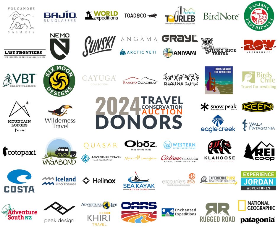 Walk Patagonia tweet media