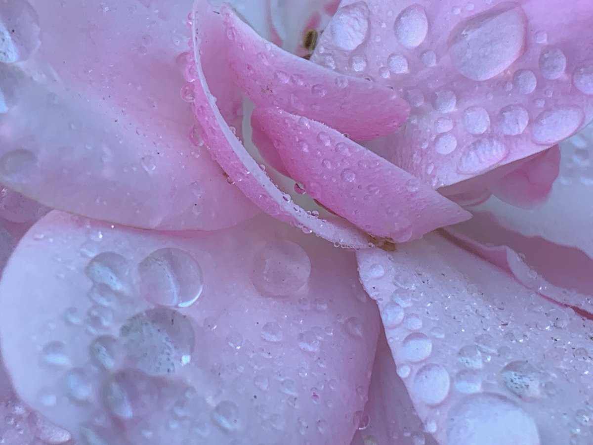 Lance Anderson tweet media