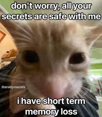 When I jump into a Karma game with my friend, and I’m trying to get hints on what he’s about to do.

Start analyzing your friends on app.getkarma.gg