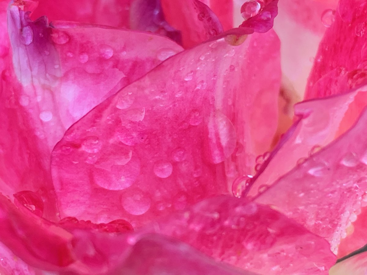 Lance Anderson tweet media