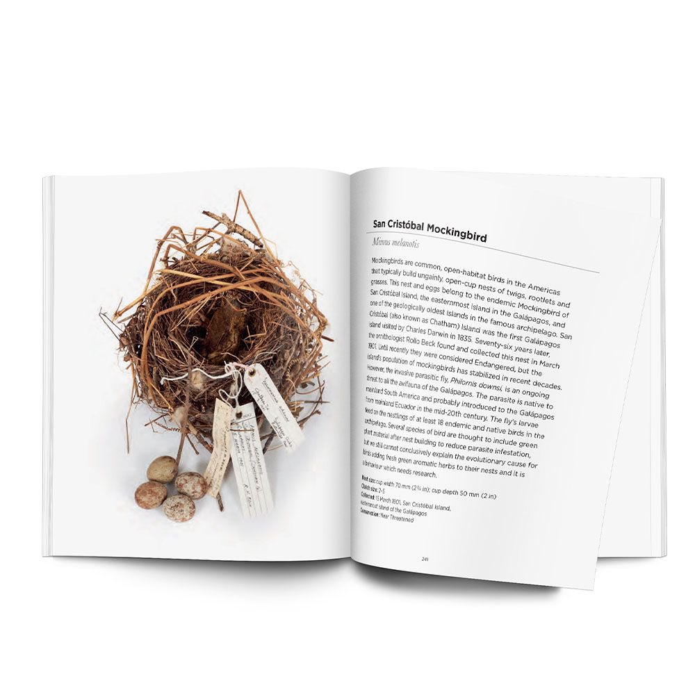 If anyone wants a signed copy of my #InterestingBirdNests&amp;Eggs
 book - you can now order signed copies whilst stocks last! <a href="/NHM_London/">Natural History Museum</a> online shop. #birds #nests #ornithology #museums #naturalhistory #birdphotography #birding 

nhmshop.co.uk/interesting-bi…