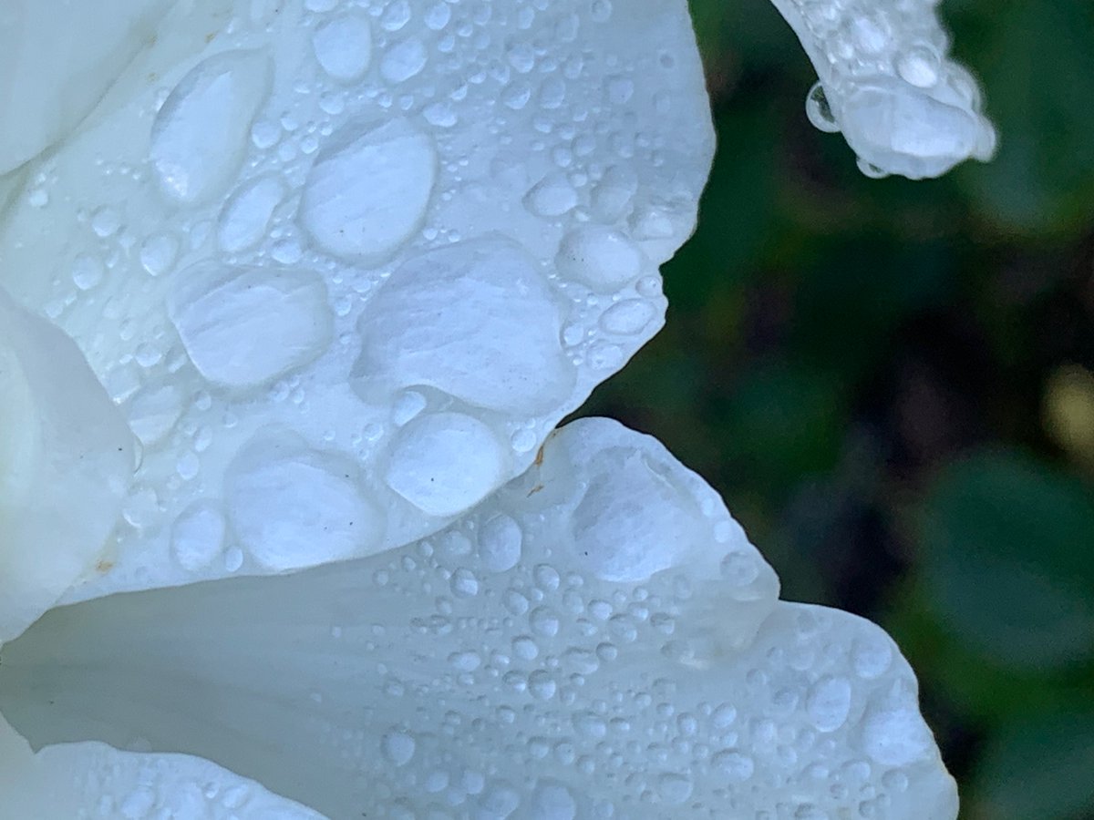 Lance Anderson tweet media