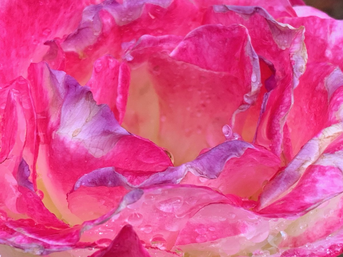 Lance Anderson tweet media