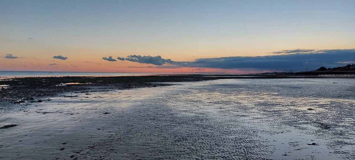 paul wells tweet media