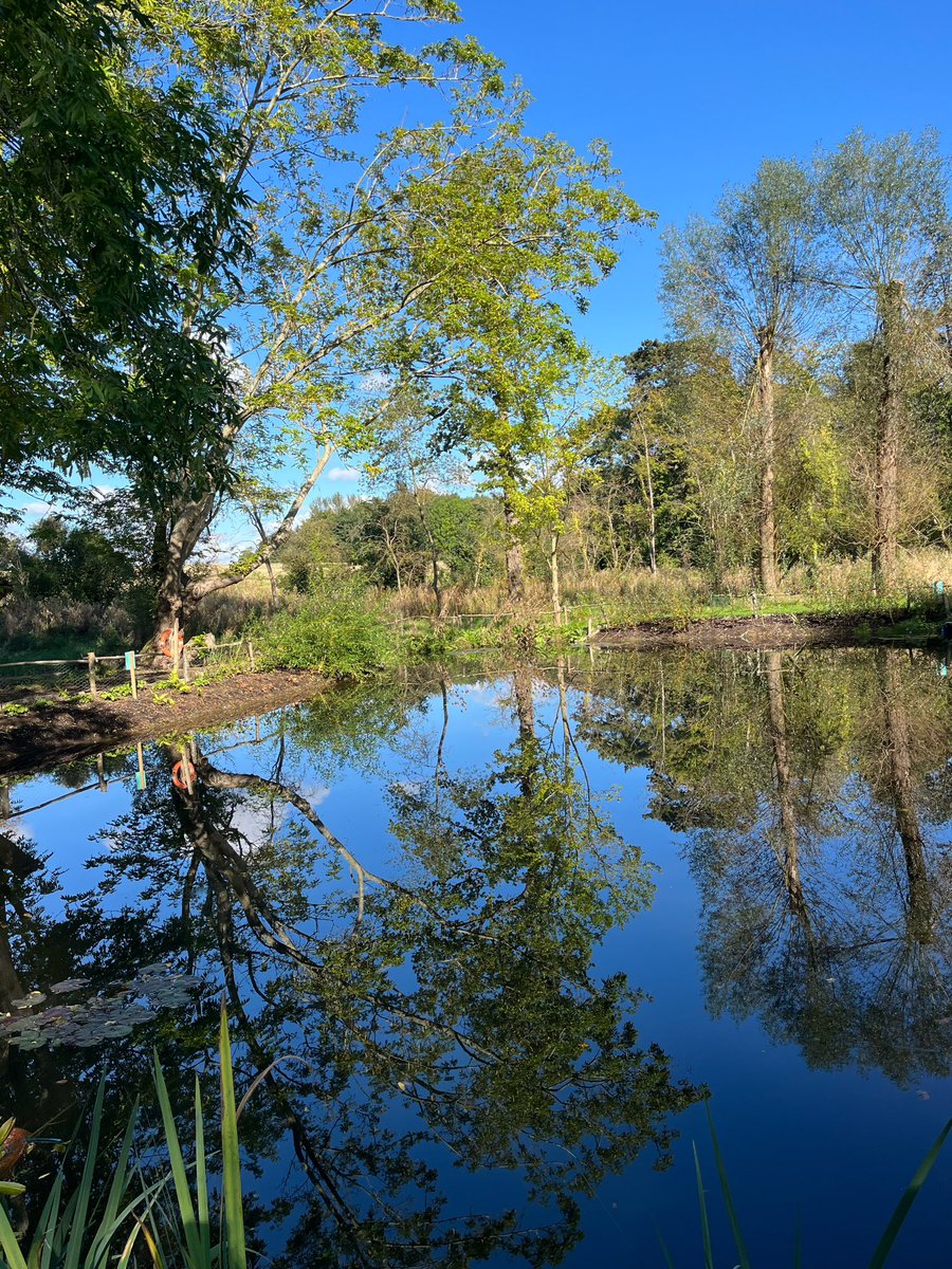 12kiwi's tweet photo. A perfect Autumn day at Evenley Wod Garden. #evenleywoodgarden #autumn2024 #meridianeather #reflections https://t.co/XBwWJwFQog