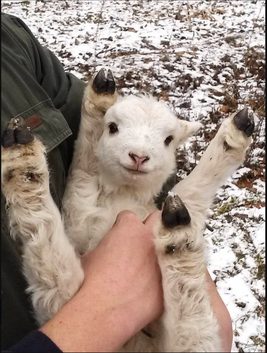 🚨eppppppepp🚨

aquesta setmana tocam:

✴️divendres a les 22.00 a la Nit Alternativa de la FM de l'Esquerra de l'Eixample de <a href="/cp_linaodena/">Casal Popular Lina Òdena</a>✴️

🔆 dissabte a les 13.30 al <a href="/lamedusarocks/">La Medusa Rocks</a> de Vilanova i la Geltrú amb un cartell deluxe 🔆

ens hi veim 💌💌💌