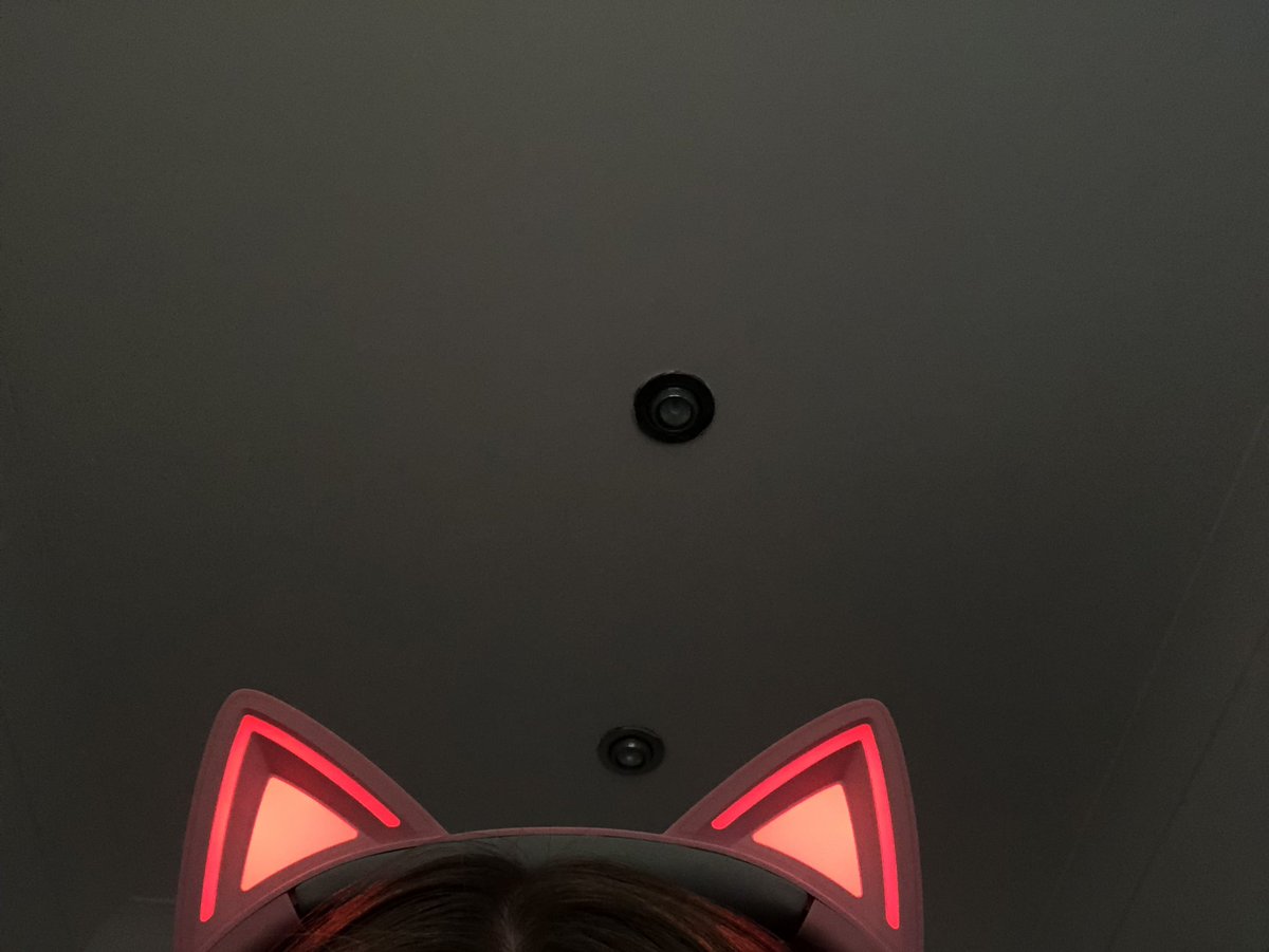 Lucy Bowling tweet media