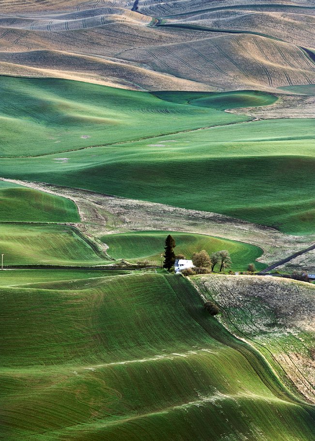 Lynn Dicks tweet media