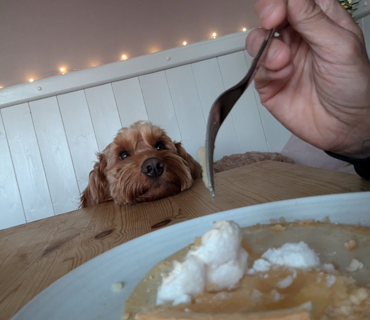 Is there any left for me?