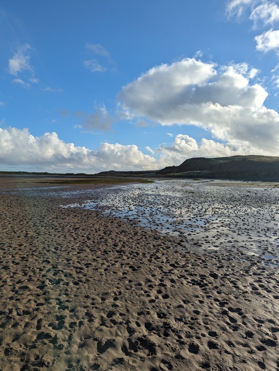 Charlotte Jennings tweet media