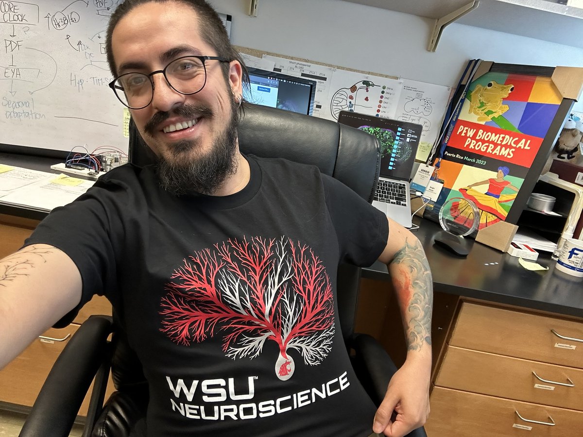 Sergio Hidalgo tweet media