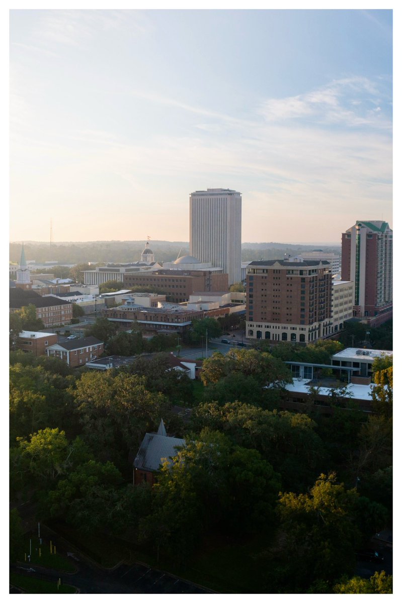 One more photo I took this morning in Tallahassee.