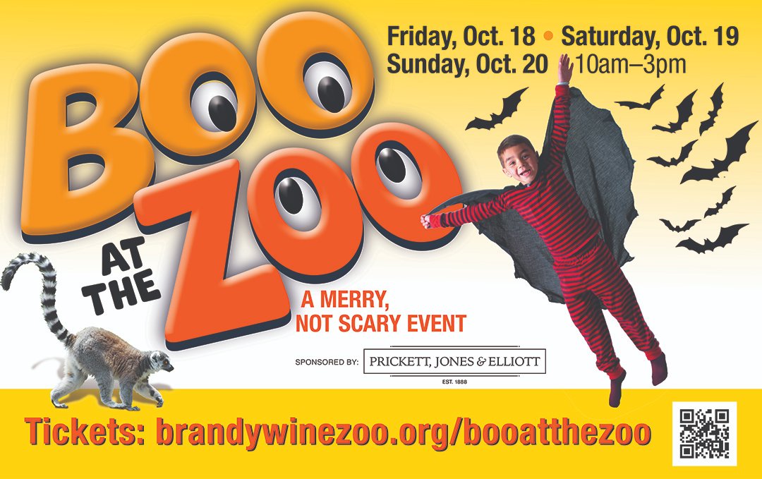 Celebrate Halloween Zoo-Style! 👻🎃
All are invited to wear costumes while visiting the zoo. Plenty of treats and activities. Brandywine Zoo members receive a discount for this event! brandywinezoo.org/booatthezoo