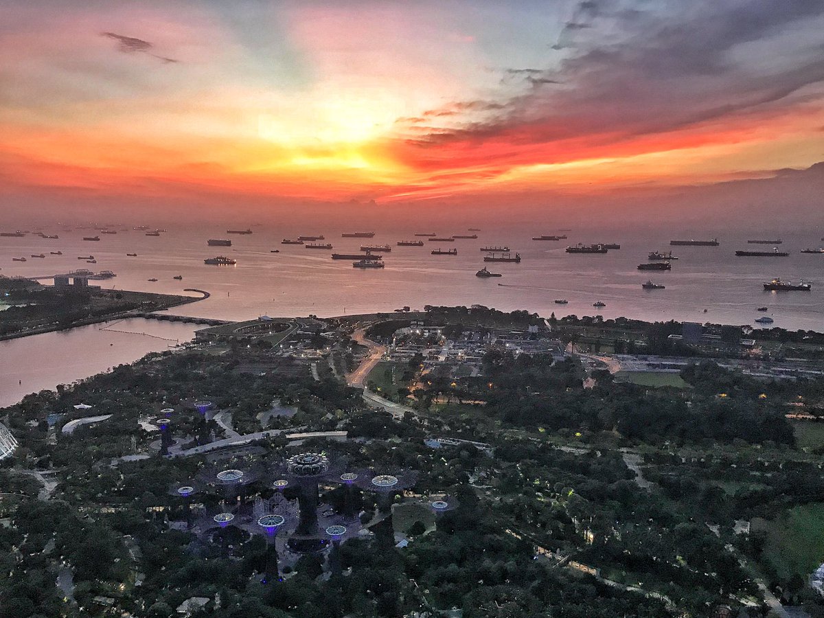 Greg Pearn tweet media