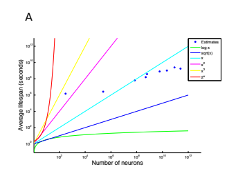 deanpospisil's tweet photo. @Harie1897 Are you referencing this figurer? A good point, estimating a model of a brain from scratch would take longer than its lifespan. Do you think 'the average fly' would provide a comprehensive understanding of 'the fly'? Or at least priors to make estimation tractable? https://t.co/mcXqnukjen