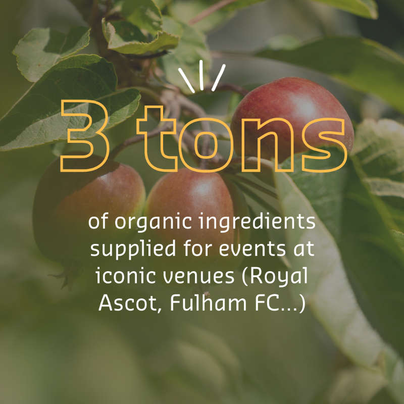 SodexoGroup's tweet photo. 🌱 At Sodexo, we’re making a positive impact through partnerships with farms practicing sustainable agriculture! 💚 

Discover how we’re supporting communities and protecting the planet with every ingredient we source. 

#Sustainability #ResponsibleSourcing #Sodexo