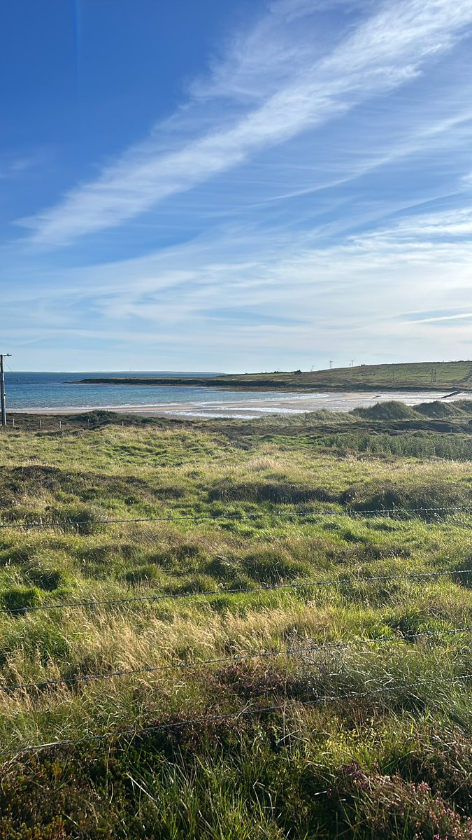 Robert Thorburn tweet media