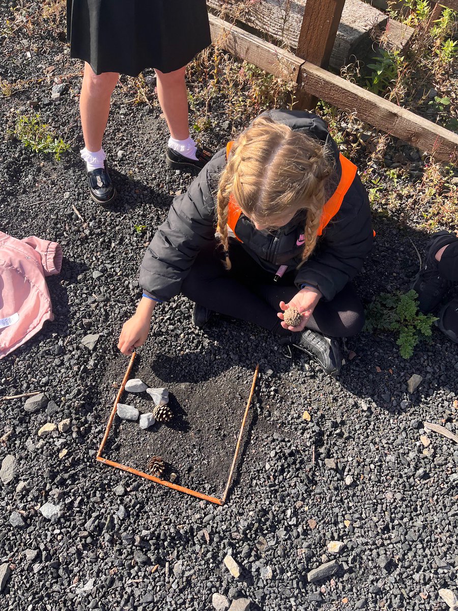 NYPS_ECO's tweet photo. This term we went down to explore more of the woodland area and do some wild flower planting. Here are some of the other activities we did too @StephensonRail @Newyorkprimary https://t.co/oHUdtD4R1v