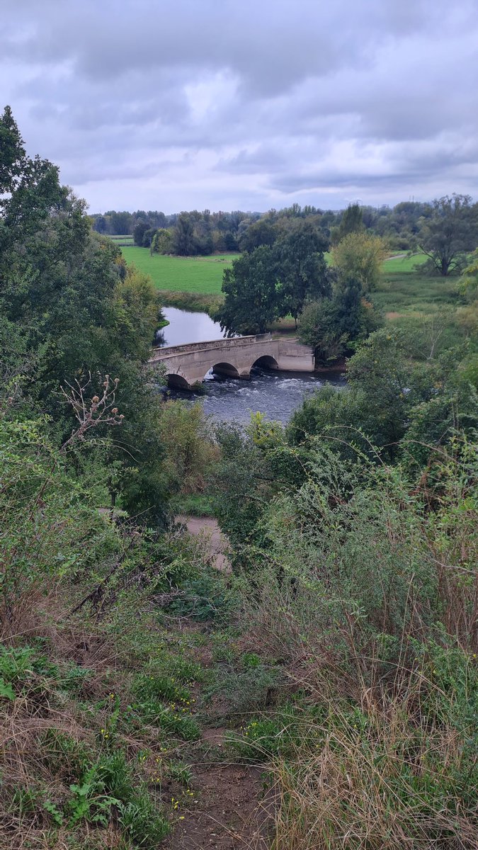 Ganz herzliche Grüße von Icke-Bernd er hat heute 3500 Schritte zur Schaafbrücke in Beesen geschafft !
Und ist stolz und geschafft ! Fotos hat er gemacht die Aue seine Heimat,  er war 😢 traurig , die Natur fehlt im !
Bis bald, war schöner Besuch , aber auch traurig!