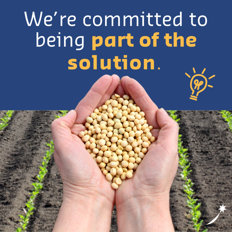 SodexoGroup's tweet photo. 🌱 At Sodexo, we’re making a positive impact through partnerships with farms practicing sustainable agriculture! 💚 

Discover how we’re supporting communities and protecting the planet with every ingredient we source. 

#Sustainability #ResponsibleSourcing #Sodexo