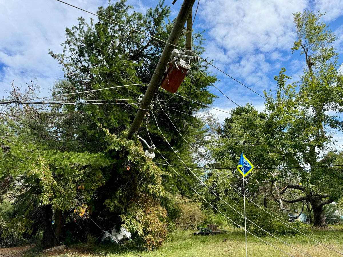 Do not attempt to repair or touch downed power lines. Consider all lines energized, as well as trees, limbs or anything in contact with lines.