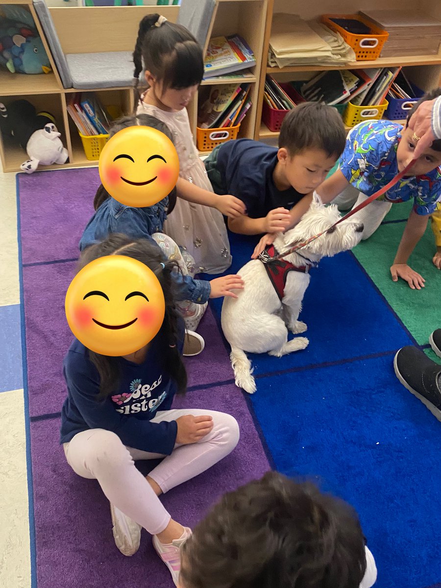 ms_vento12's tweet image. First day back in Kindergarten yesterday & felt nothing but love from my amazing colleagues & students. It was AWESOME to see how students knew routines & expectations & how they engaged in lessons so thoughtfully! ❤️ @mskilty @SBergantz @CLVarner @LexK5science @HarringtonHAWKS