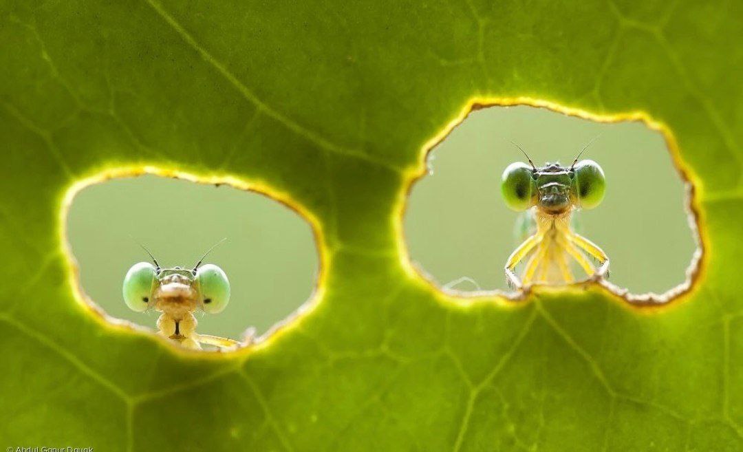 InfoDC96 tweet media