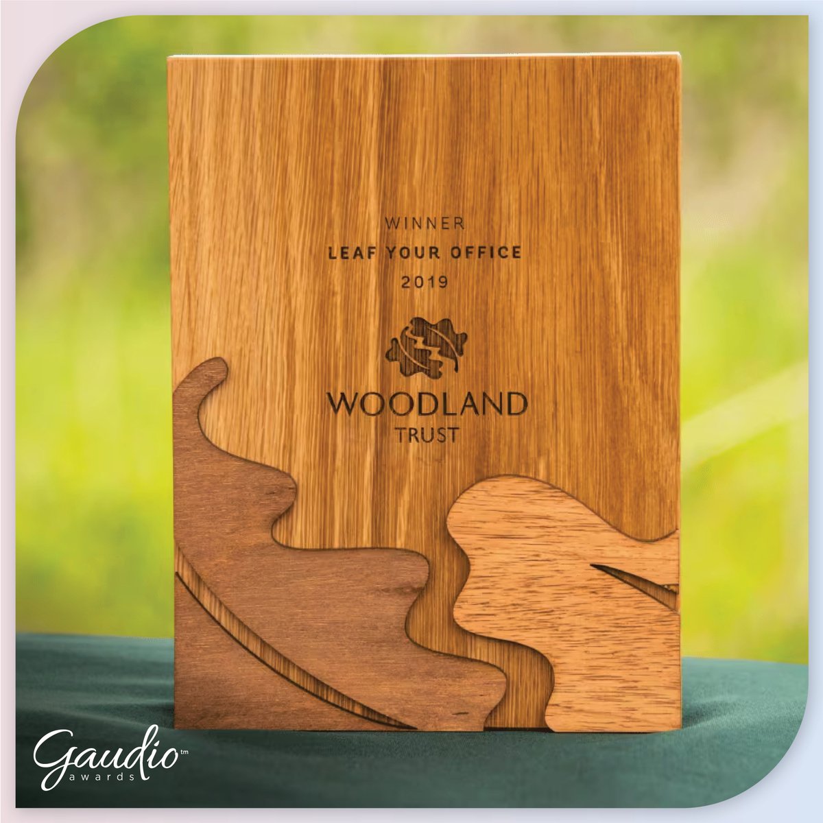 Our top 5 sustainably-made trophies: read our latest blog.

gaudio.co.uk/blog/our-top-5…

#EventProfsUK #bespoketrophies #sustainabledesign