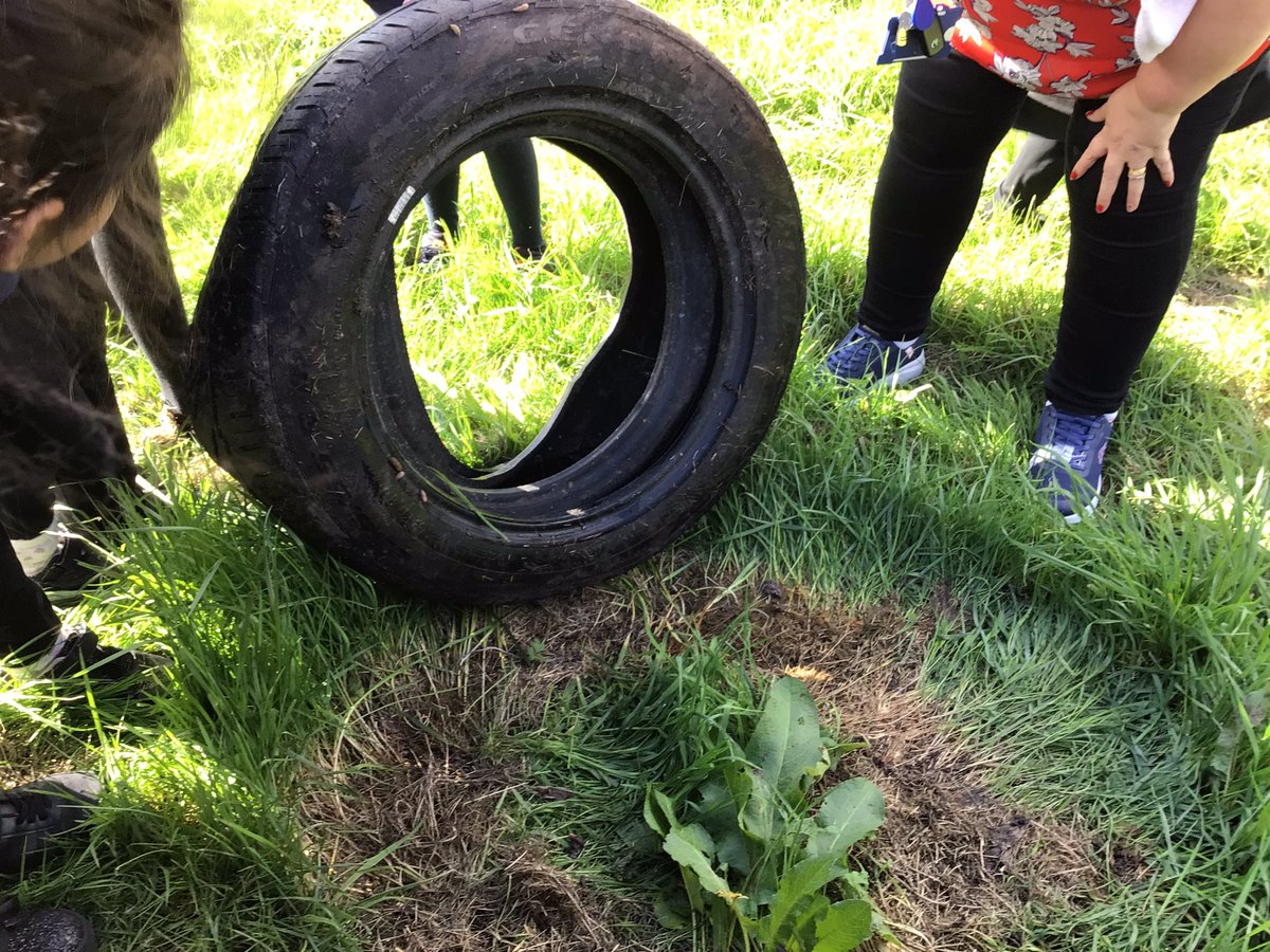 Byronprimarysch's tweet photo. 2T went on a mini beast hunt in a Forest School. We found lots of interesting insects who had all of their needs met in their micro habitats. #ByronScience https://t.co/ZsBBQOtARL