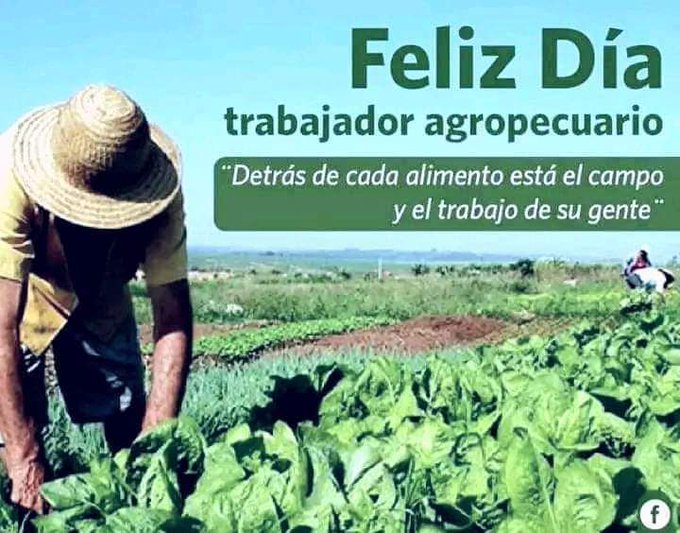 Muchas felicidades a los trabajadores agropecuarios.  Gracias por sus aportes q son fruto de la dedicación y el trabajo duro en la agricultura.