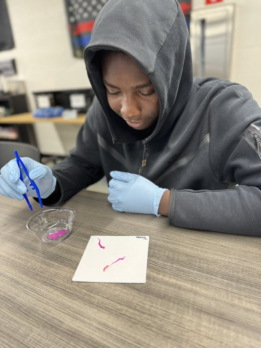MrsPierce_'s tweet photo. Today in class we are learning about how maggots can tell crime scene investigators how long a body has been deceased for! @ABSSPublic  @CTEforNC #PublicSafety https://t.co/HFoOb3bQh4