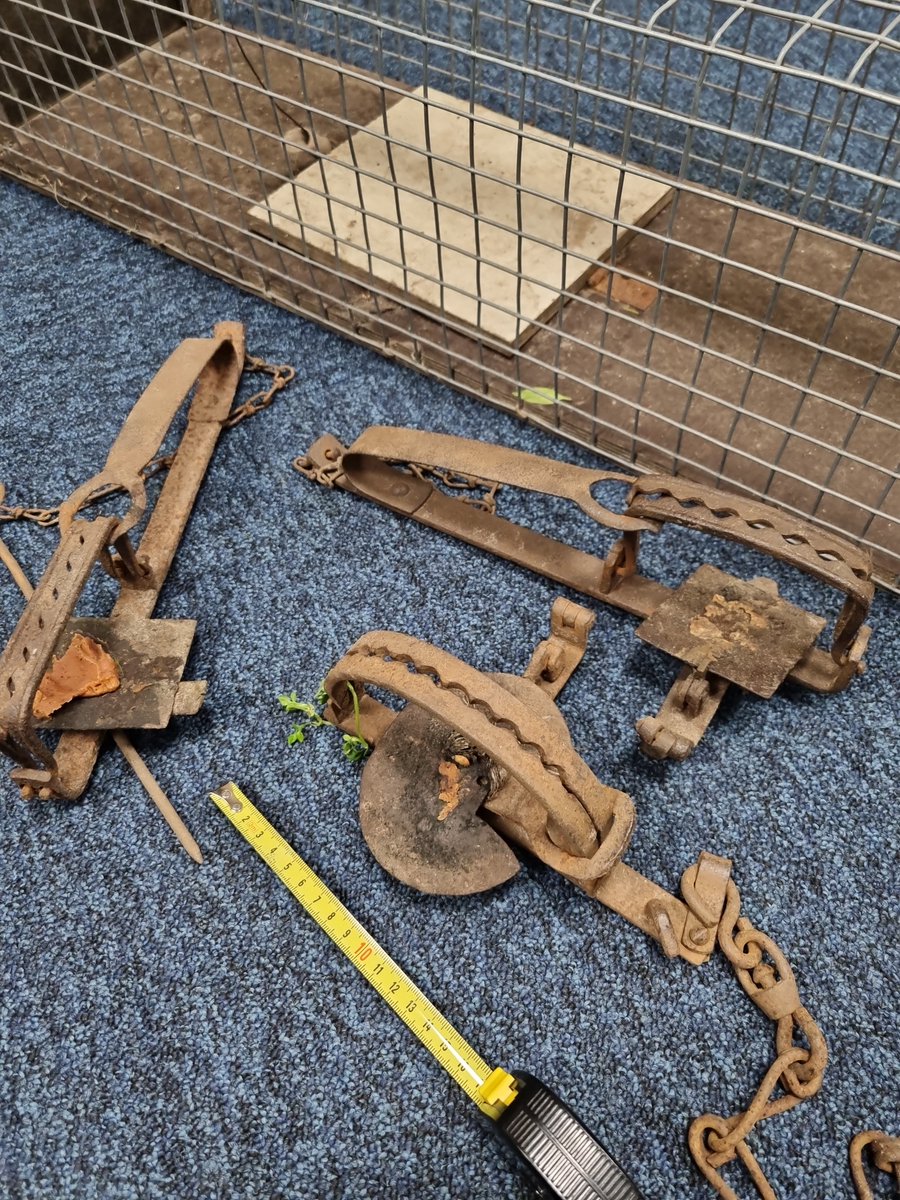 In volkstuinencomplex Beek en Donk met BOA #Laarbeek  diverse gereedstaande #pootklemmen + #vangkooi aangetroffen en in beslag genomen. Gevangen #kat in klem werd geëuthanaseerd. Ik maak PV op tegen 2 verdachten. Gebruik pootklem is verboden! (SJ)  #milieuagent #144 <a href="/Meldpunt144/">Meldpunt 144</a>