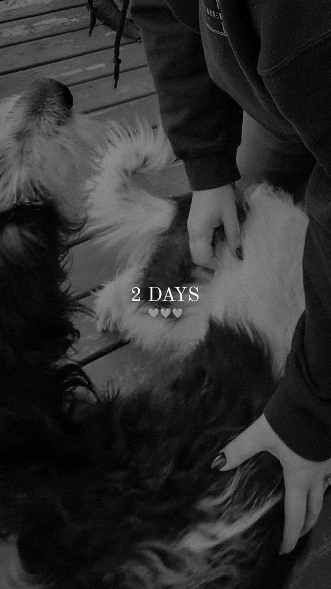 Mr Shot Cheese™ 🧀 (@mrshotcheese) on Twitter photo 