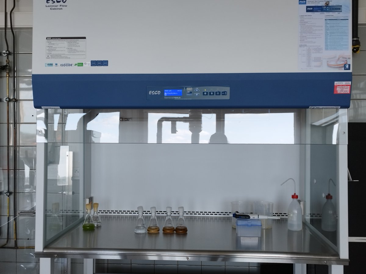 RESourceLab_UG's tweet image. Happy #WorldAlgaeDay!
To celebrate these amazing organisms, we would like to share our new addition dedicated to our algae research: a laminar flow hood 🤩
It is already being used for our experiments on recycled nutrients to increase the sustainability of algae cultivation💪