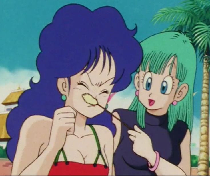 Daily Bulma (@daily_bulma) on Twitter photo 