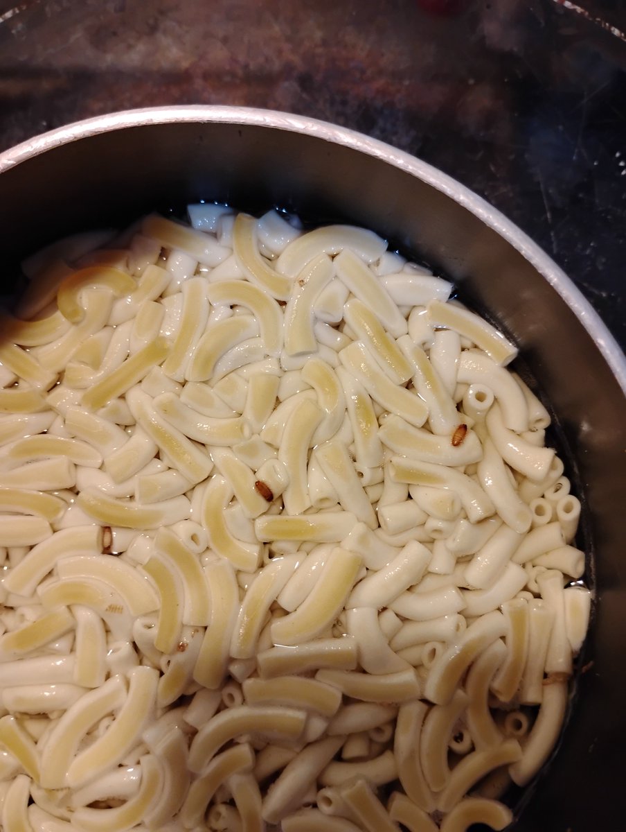 KellicAngelo's tweet photo. @nonamebrands @PCFinancial maggots in a brand new box of macaroni and cheese my kid is scared to eat anything now https://t.co/PXbyFf8hT4