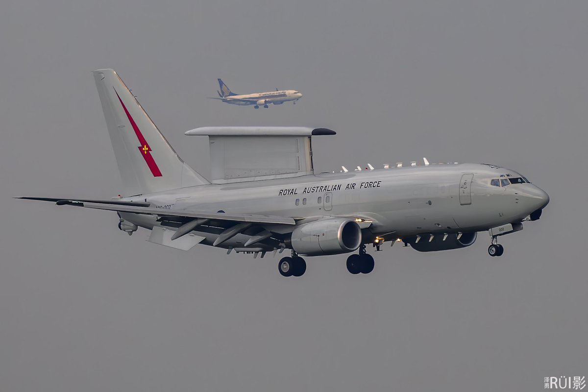 Benjamin tweet media