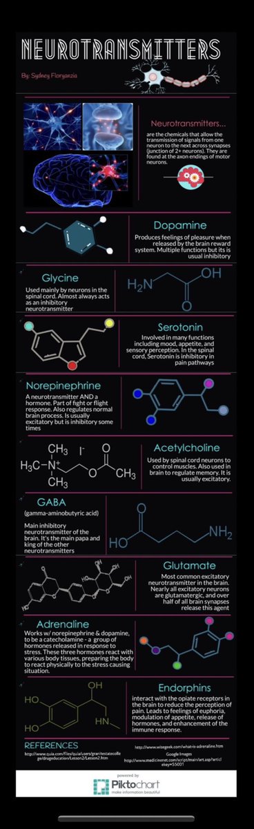 Biology1802's tweet photo. جميع النواقل العصبية في صورة واحدة 🧠 ⚡️ https://t.co/MhTgRoOQfO