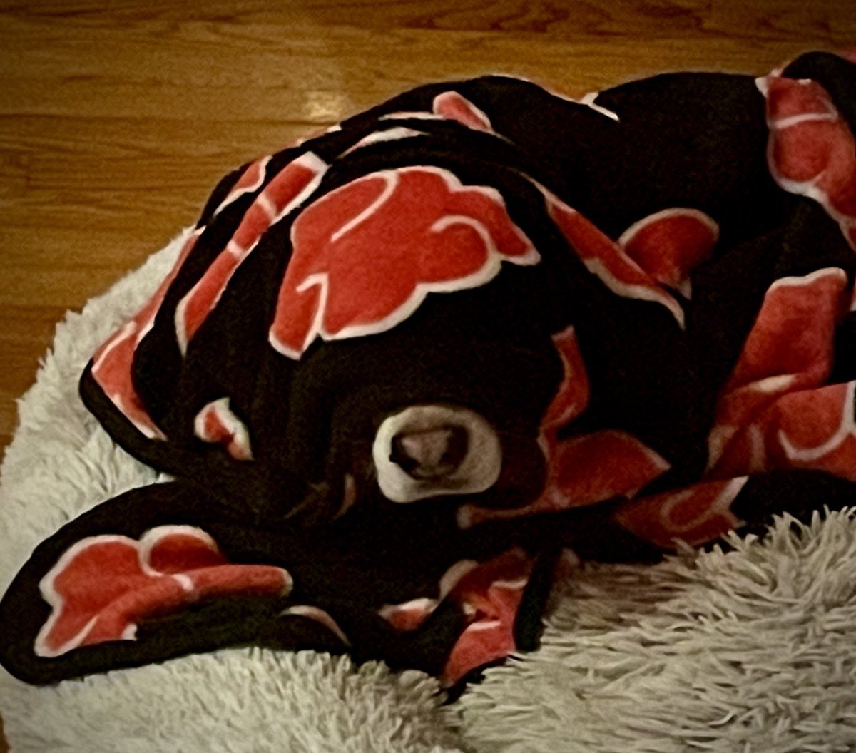 Ernie, international man of mystery