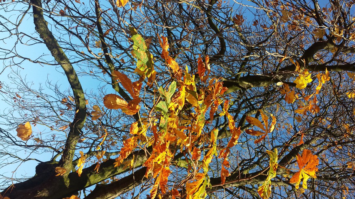 And summer, that keeps returning like a ghost 
Of something death has merely made beautiful
From Autumn by Philip Larkin (1953)