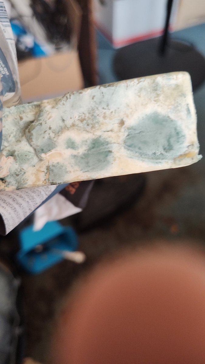 <a href="/cabotcreamery/">Cabot Creamery Cooperative</a> is this normal for farmhouse reserve cheddar. Just opened exp 8/8/25 cc0323293