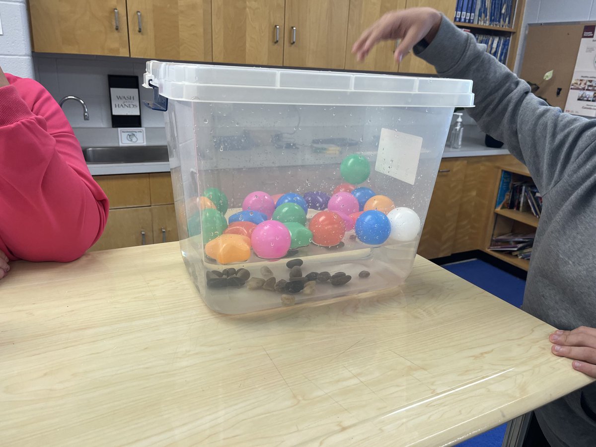 DaCosta7a tweet media