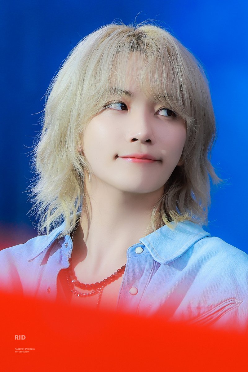 정한이의🍀 새벽토끼 🍀 tweet media