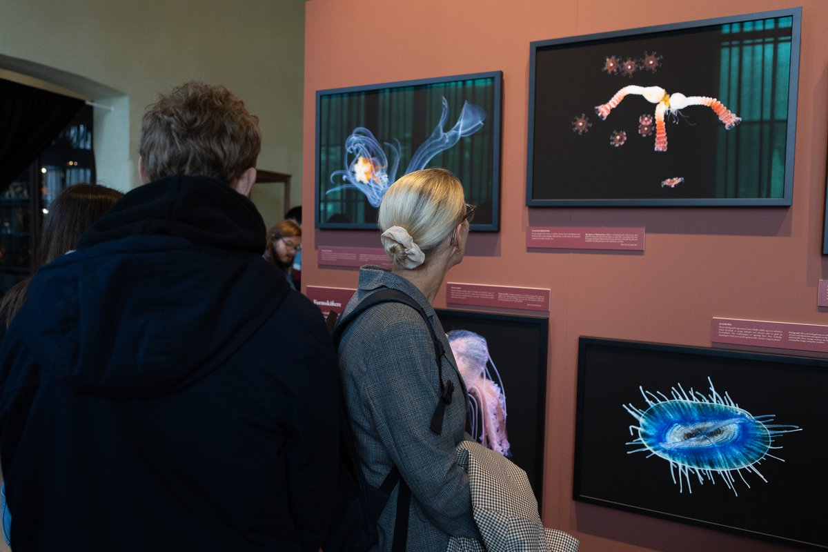 Michael Sars Centre (@msarscentre) on Twitter photo The opening of #JellyfishUnveiled revealed stunning work by talented photographers <a href="/Alexandre4_Jan/">Alexandre Jan</a> <a href="/JoanJSoto/">Joan J. Soto-Angel</a> & <a href="/aaasjord/">Anne aasjord</a> 🤩 Thank you to everyone who made this possible, we are incredibly proud of this collaboration with <a href="/UiB_museet/">Universitetsmuseet</a>! Open Oct. 4-30, don't miss out!! 🪼 <a href="/UiB/">Universitetet i Bergen</a> The opening of #JellyfishUnveiled revealed stunning work by talented photographers <a href="/Alexandre4_Jan/">Alexandre Jan</a> <a href="/JoanJSoto/">Joan J. Soto-Angel</a> & <a href="/aaasjord/">Anne aasjord</a> 🤩 Thank you to everyone who made this possible, we are incredibly proud of this collaboration with <a href="/UiB_museet/">Universitetsmuseet</a>! Open Oct. 4-30, don't miss out!! 🪼 <a href="/UiB/">Universitetet i Bergen</a>