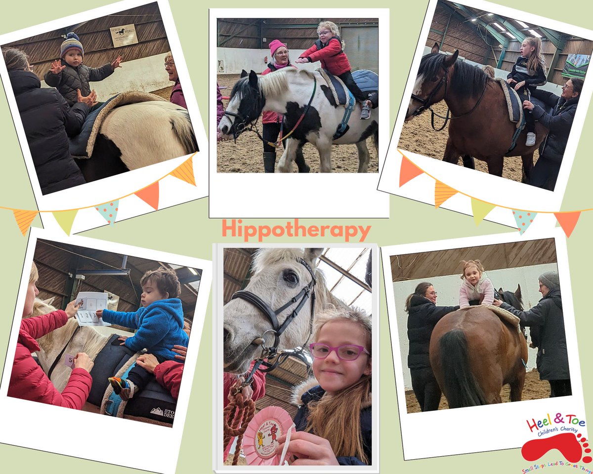 Mandy Hammond tweet media