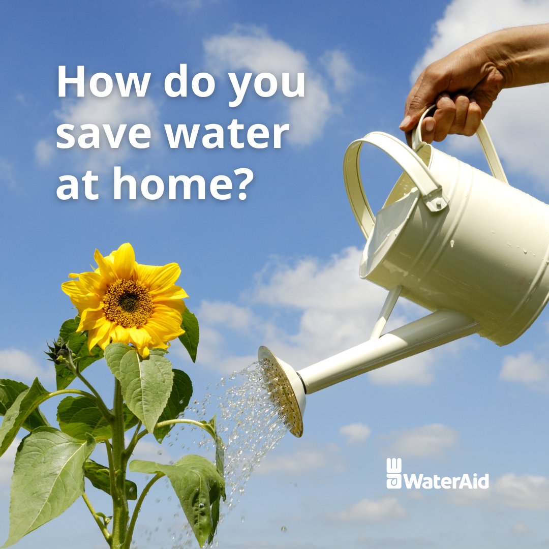 How do you save water at home? 💦