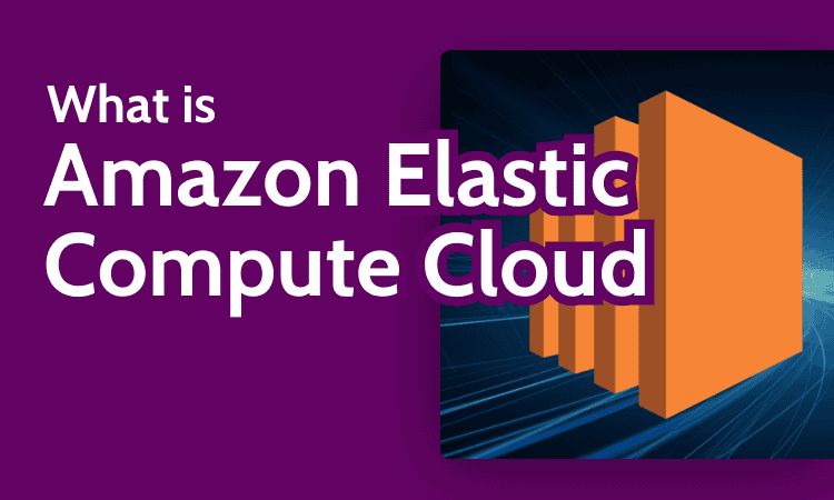 cloudwards's tweet image. Amazon Elastic Compute Cloud changed the landscape of cloud computing when it launched and is still the most widely used cloud compute service today. #Cloudwards #AmazonEC2 #AmazonWebServices ✎ᝰ.📓cloudwards.net/amazon-elastic…