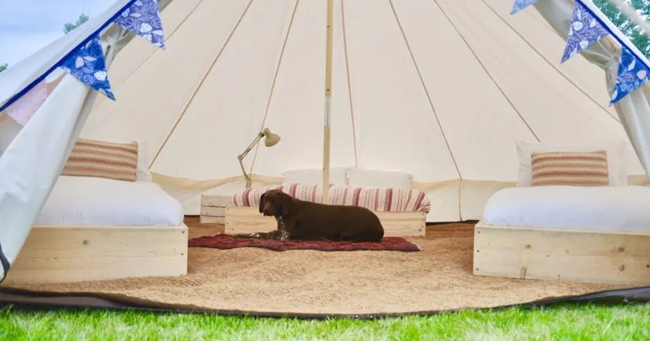 Drover's Rest Farm is a working sheep farm on the outskirts of Hay-on-Wye, offering pet-friendly glamping accommodation.

🐴 Welcomes horses, dogs and small pets 🐾 
weacceptpets.co.uk/Herefordshire/…

<a href="/DroversRestFarm/">Droversrest</a> #Glamping #GoldenValley #Countryside #PetFriendly #Glamping