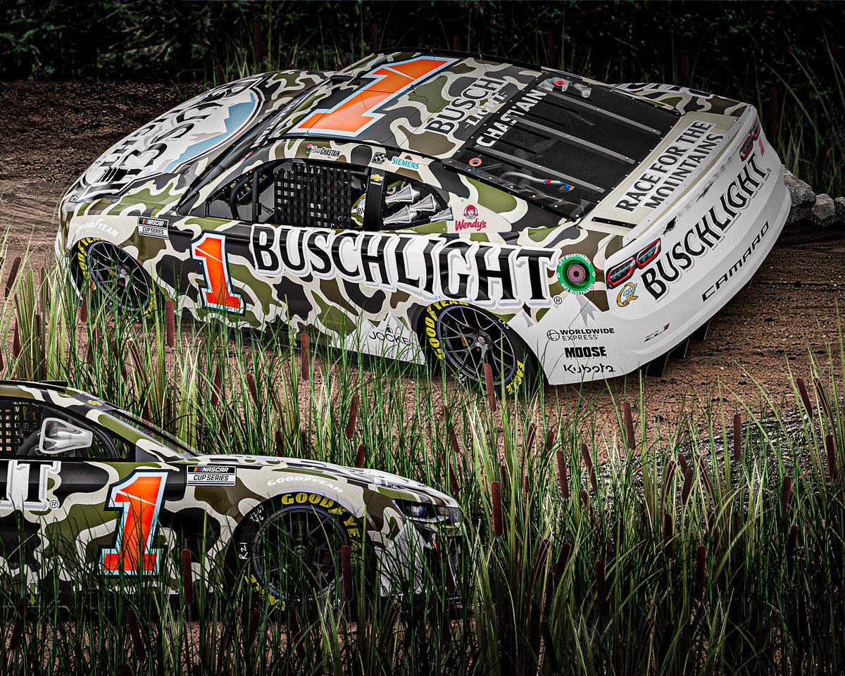 Can any 1️⃣ see Ross' <a href="/BuschBeer/">Busch Beer</a> car for Dega??