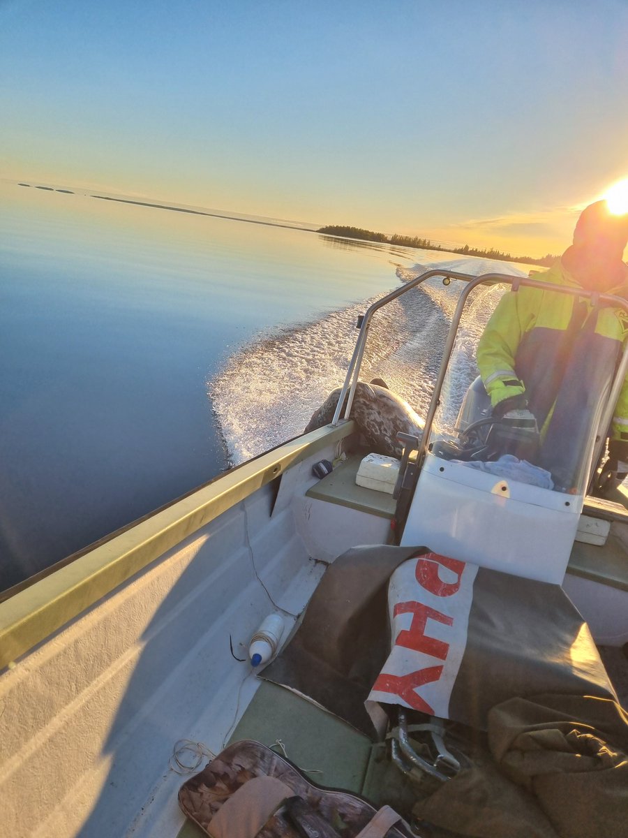 Kvällen igår var ganska nice #bottenviken #säljakt #löjfiske #siknäs